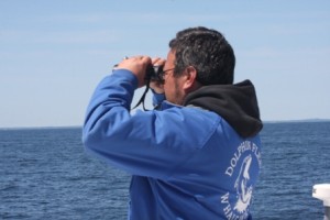 Looking for whales