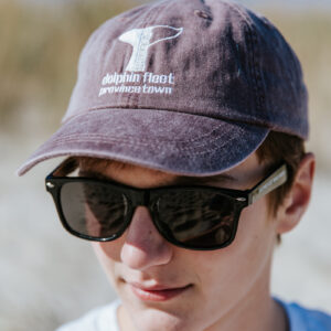 Monument Baseball Cap Mullberry