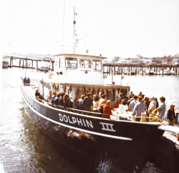 provincetown-whale-watch-50-years-boat