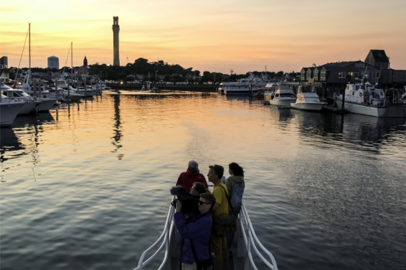 sunset-whale-watch-provincetown