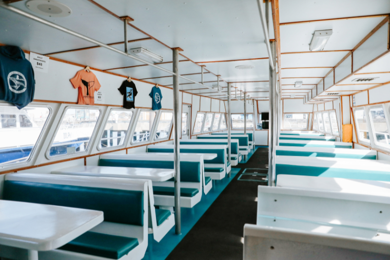 whale-watch-boat-interior-provincetown