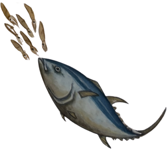 Dolphin-Fleet-Bluefin-Tuna